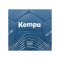 Kempa Spectrum Synergy Eliminate Handball Grau F01 - grau