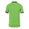 Kempa Trikot Kids Grün F006 - gruen