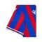 Macron Crystal Palace Trikot 2025/2026 Blau - blau