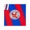 Macron Crystal Palace Trikot 2025/2026 Blau - blau