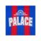 Macron Crystal Palace Trikot 2025/2026 Blau - blau