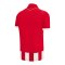 Macron Roter Stern Belgrad Trikot Home 2026/2027 Rot - rot