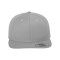Merch Classic Snapback Cap Silver Green - silber