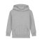 Merch Mini Cruiser 2.0 Hoody Kids H. Grey FC250 - grau