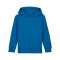 Merch Mini Cruiser 2.0 Hoody Kids Royal Blue FC230 - blau