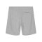 Merch Trainer 2.0 Short Heather Grey FC250 - grau