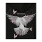 Mister Tee Doves O Fullzip Sweatshirt Schwarz - schwarz