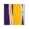 Mitchell and Ness NBA Los Angeles Lakers 1994-1995 Short Lila - lila