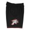 Mitchell and Ness NBA Philadelphia 76ers NBA P 76ers Short Schwarz - schwarz