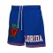 Mitchell and Ness NCAA Team Origins 7 Inch Mesh VNTG Logo University of Florida Short Blau - blau