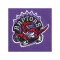 NBA TORONTO RAPTORS VINCE CARTER HEAVYWEIGHT PREMIUM PLAYER VINTAGE LOGO T-SHIRT - lila