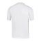 Mizuno Chiba Polo Weiss F01 - weiss