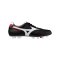 Mizuno Morelia II Elite FG Schwarz F01 - schwarz