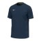 Mizuno Trainingsshirt Blau F14 - blau