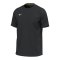 Mizuno Trainingsshirt Schwarz F09 - schwarz
