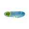 New Balance Tekela Elite Low Laced V5 SG Neon Tide Blau - blau