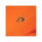 Newline Core Shirt langarm Running Damen F5190 - orange