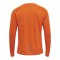 Newline Core Shirt langarm Running Orange F5190 - orange