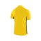 Nike Academy 18 Football Poloshirt Gelb F719 - gelb