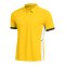 Nike Academy 25 Polo Gelb F719 - gelb