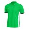 Nike Academy 25 Polo Grün F329 - gruen