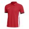 Nike Academy 25 Polo Rot F657 - rot