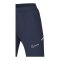 Nike Academy 25 Präsentationshose Blau F410 - blau