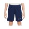 Nike Academy 25 Short Kids Blau F410 - blau
