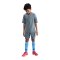 Nike Academy 25 Trikot Kids Grau F065 - grau