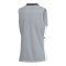 Nike Academy 25 Tanktop Grau F012 - grau