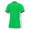 Nike Academy 25 Trainingshirt Damen Grün F329 - gruen