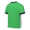Nike Academy 25 Trainingsshirt Grün F329 - gruen