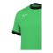 Nike Academy 25 Trainingsshirt Grün F329 - gruen