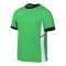 Nike Academy 25 Trainingsshirt Grün F329 - gruen