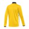 Nike Academy 25 Trainingsjacke Kids Gelb F719 - gelb