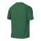 Nike Academy II Trikot Grün F302 - gruen