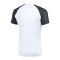Nike Academy II Trikot Weiß F101 - weiss