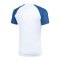Nike Academy II Trikot Weiß F103 - weiss