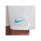 Nike Academy Plus Short Kids Grau F025 - grau