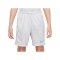 Nike Academy Plus Short Kids Grau F025 - grau