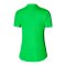 Nike Academy Poloshirt Damen Grün F329 - gruen