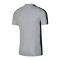 Nike Academy Poloshirt Grau F012 - grau