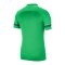 Nike Academy 21 Poloshirt Grün Weiss F362 - gruen