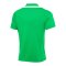 Nike Academy Pro 24 Poloshirt Grün F329 - gruen