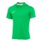 Nike Academy Pro 24 Poloshirt Grün F329 - gruen