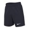 Nike Academy Pro 24 Short Blau Weiss F451 - blau