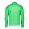 Nike Academy Pro 24 Trainingsjacke Grün F329 - gruen