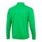 Nike Academy Pro 24 Trainingsjacke Kids Grün F329 - gruen
