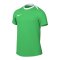 Nike Academy Pro 24 Trainingsshirt Grün Weiss F329 - gruen