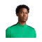Nike Academy Pro Drill Top Grün F324 - gruen